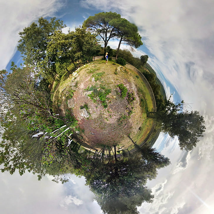 360 degree photography of forest