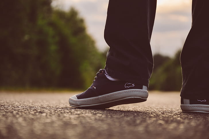 person wearing pair of black Lacoste low-top sneakers