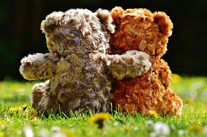 Teddy Bear Glitter Eyes Stuffed - Free photo on Pixabay - Pixabay