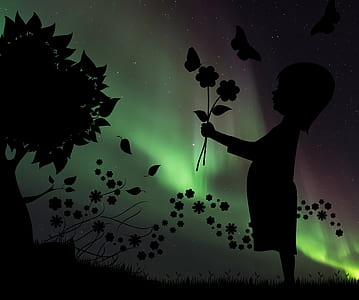 silhouette of girl holding flowers with aurora background