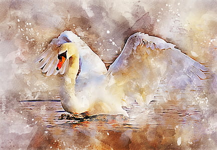 yellow and white swan painting