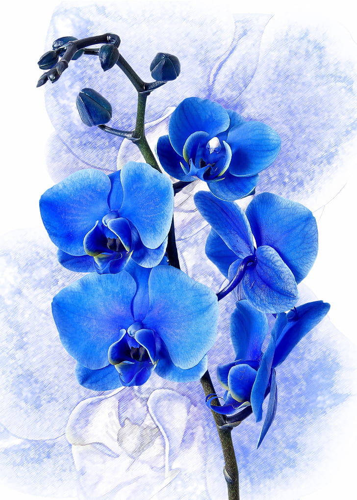 blue orchids painting