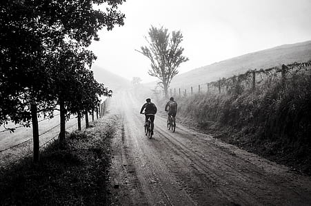 two peoples riding bicycle