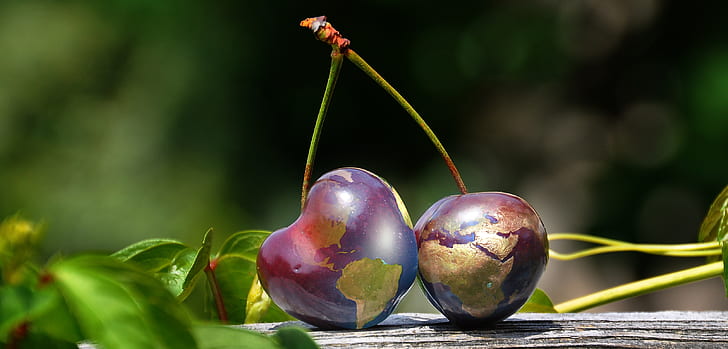 shallow focus photography of cherries