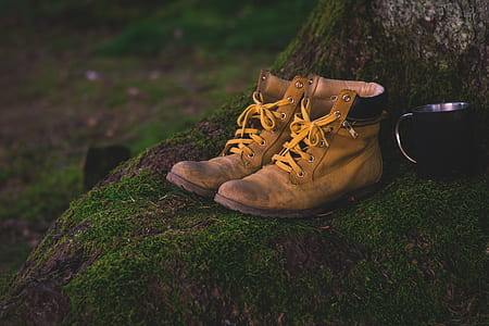 pair of brown Timberland leather boots on tree base