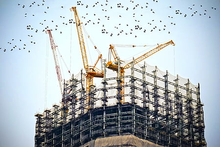 gray scaffiolding with tower cranes and birds