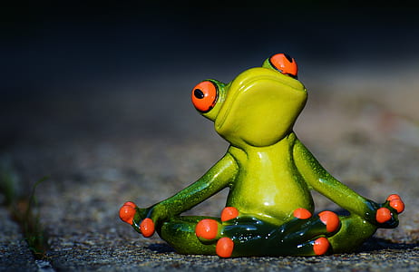 tiltshift lens photo of green frog figurine