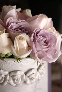 selective focus photograph of pink rose