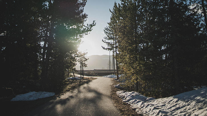 landscape photography of asphalt road surrounded by trees and snow
