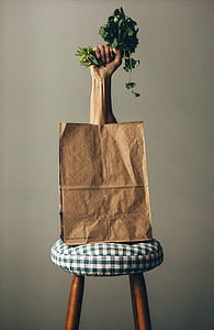 Right Human Hand Holding Green Vegetable on Paper Bag