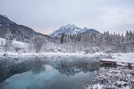 trees and mountains covered with snow beside body of water under grey sky during twilight