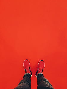 person wearing red low-top sneakers