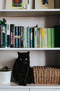 Black cat by a wicker basket on a white bookcase shelf