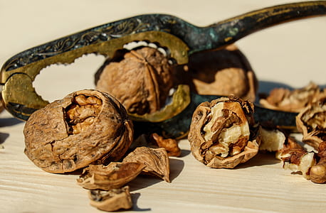 close up photo of walnuts