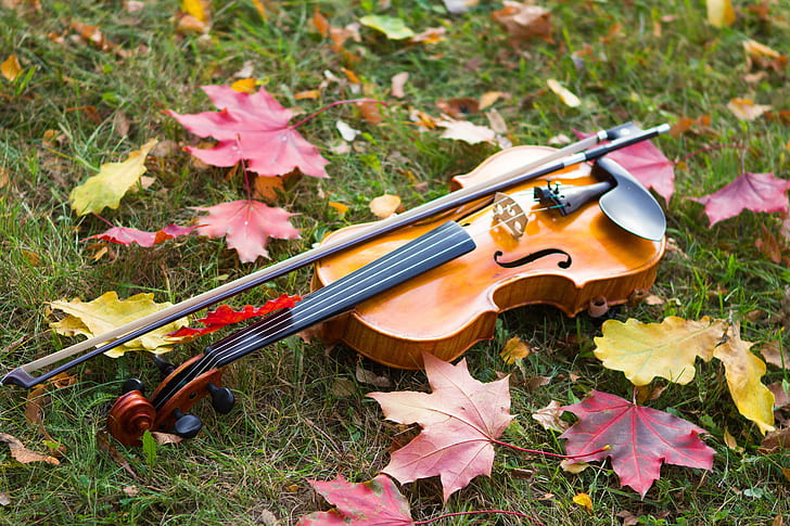 brown violin with bow on top