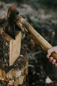 Chopping wood in the forest