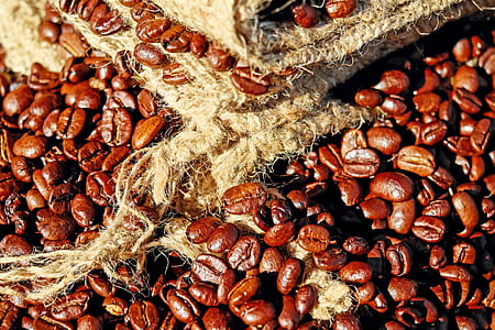 coffee beans near burlap sack