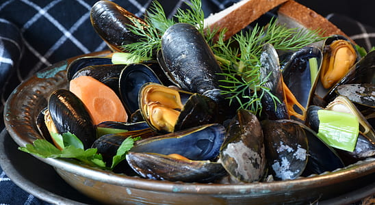 mussel delicacy on brown bowl