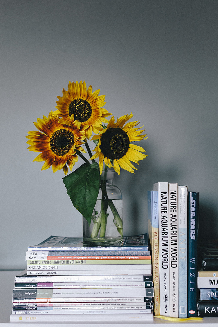 Sunflowers and books