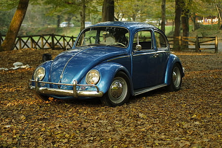blue Volkswagen Beetle coupe parked near trees