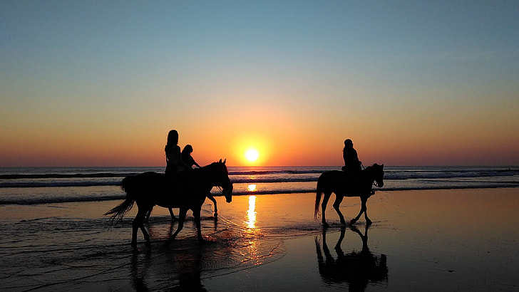 silhouette photography of a three person riding a horse walking on the beach under