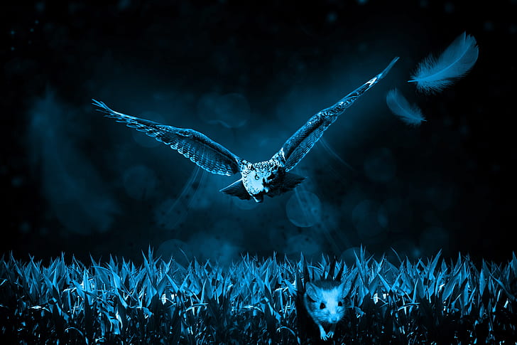 owl flying at nighttime
