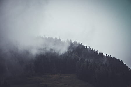 grayscale photo of mountain covered with fogs