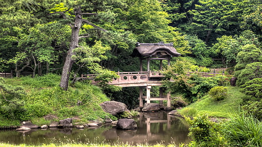 brown wooden bridge near green leaf trees