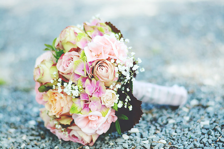 pink roses and white baby's-breath bouquet