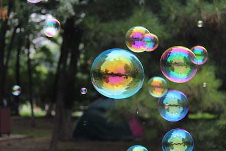 photography of bubbles near green rees