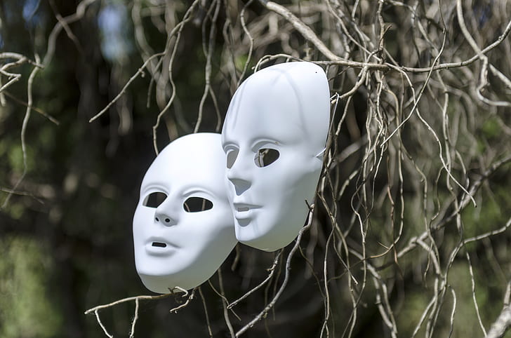 shallow focus photo of white volto masks on brown tree stems