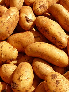 bunch of potatoes