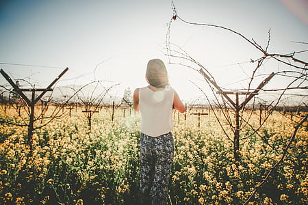 woman with white sleeveless shirt standing between yellow petaled flower field during daytime