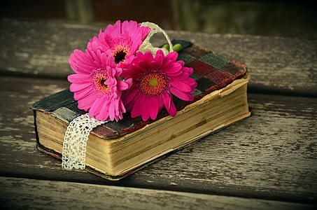 three flowers on top of thick hardbound book