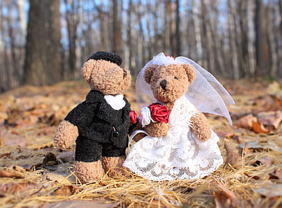 two groom and bride bear plush toys near dried leaves