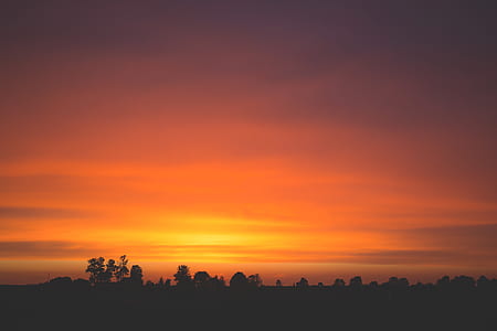 Sunset Photo