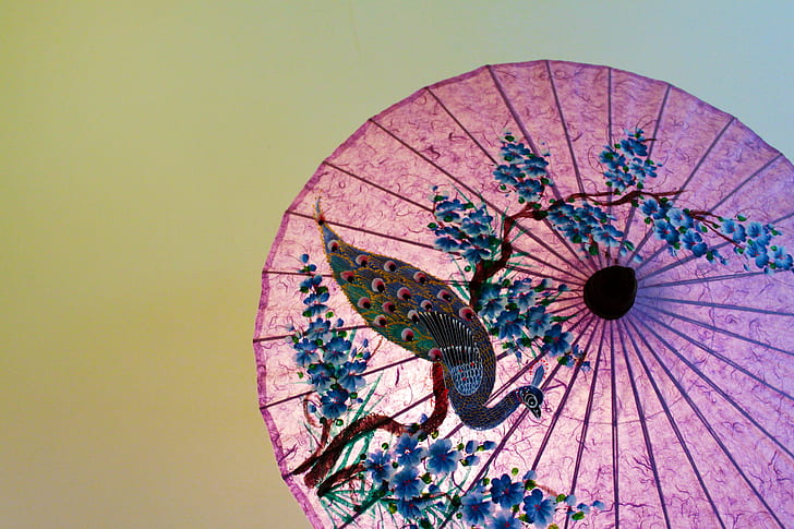 pink and blue peacock painting print floral umbrella