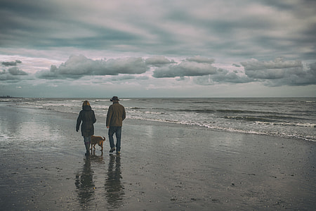 A couple walk their dog on a winter’s day on Camber Sands in East Sussex, England