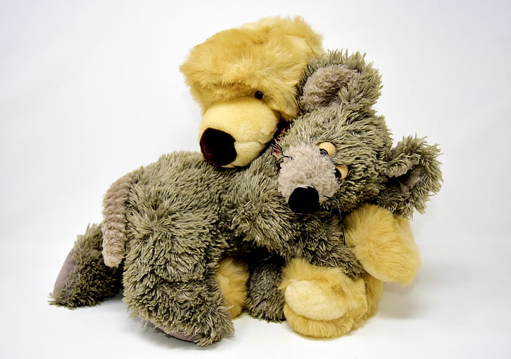 bear and mouse hugging plush toys