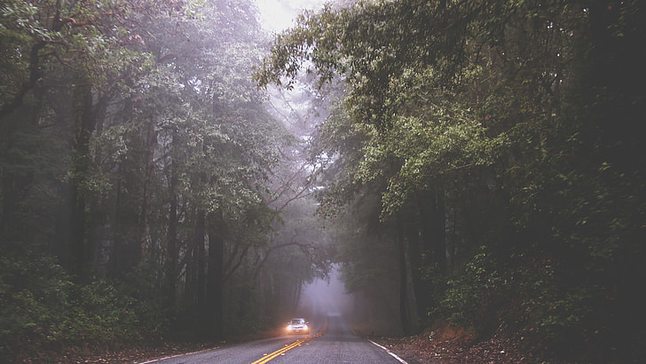 photo of white car ride on forest