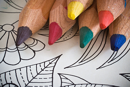 close view of six color pencils
