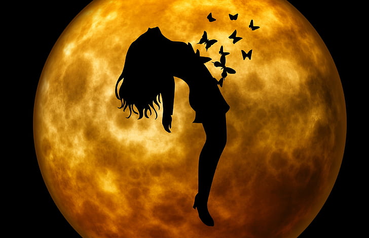 silhouette of woman and butterflies in front of moon