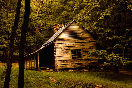 shallow focus photography of brown cabin house