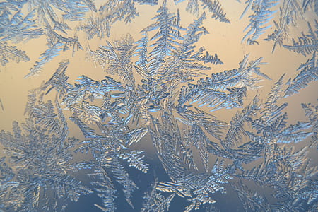 closeup photo of snowflakes