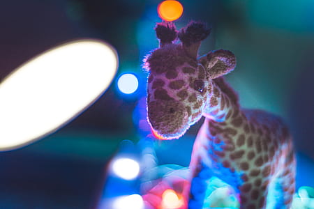 Giraffe Plush Toy Close Up Photo