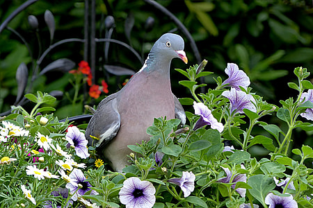 bird perching on plant ]