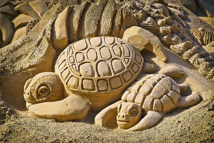 photo of Turtle sand carving