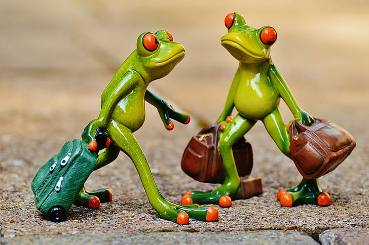 shallow focus photography of two green frog plastic figures