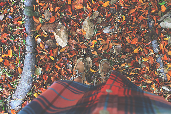 person in pair of brown leather boat shoes stepping on brown fallen leaves