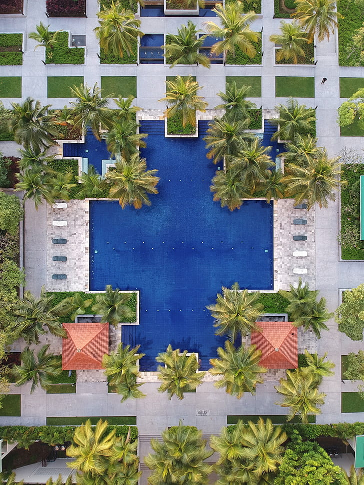 aerial photography of park pool near building with palm tress
